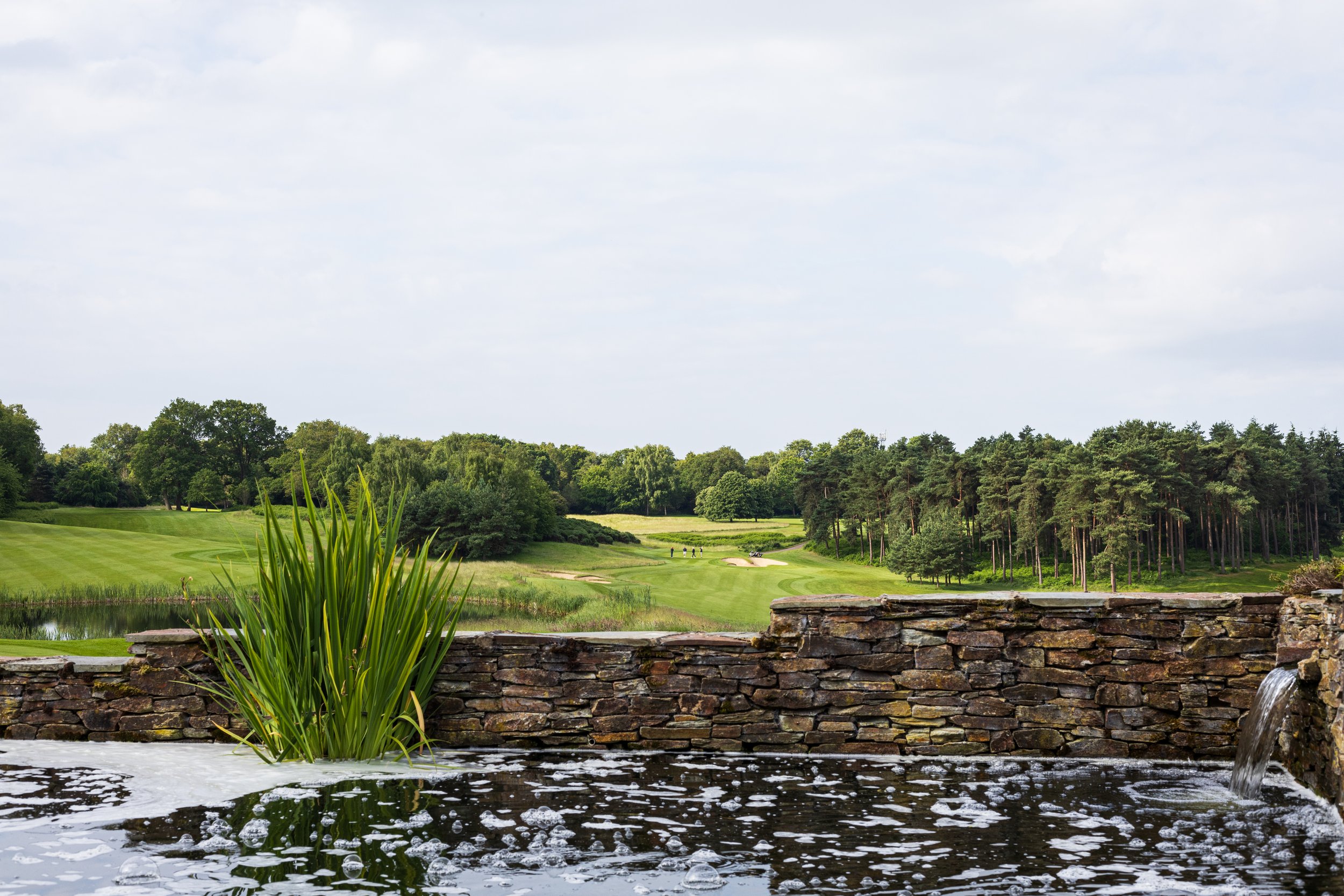 bearWOOD LAKES